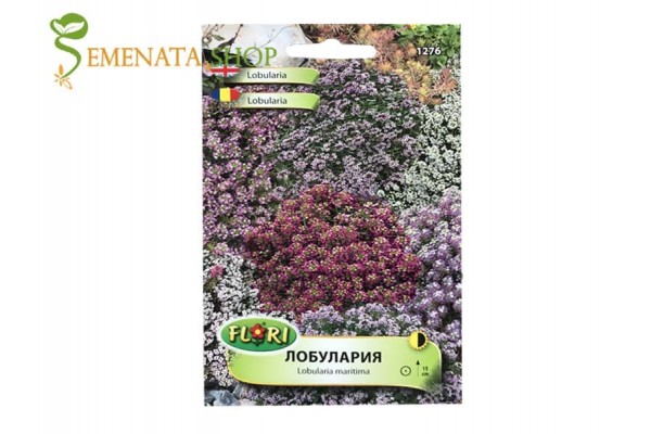 Семена на Лобулария микс